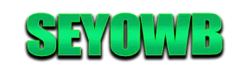 Logo Seyowb